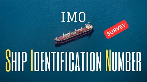 imo number search by name.